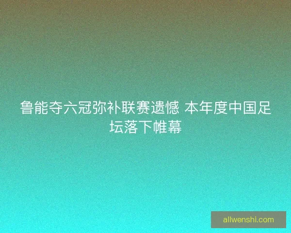 鲁能夺六冠弥补联赛遗憾 本年度中国足坛落下帷幕